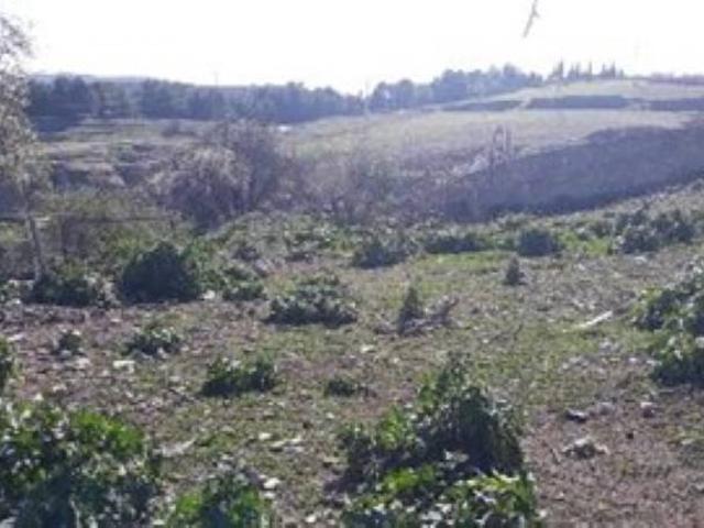 Terreno en venta en Alhama De Granada, Granada
