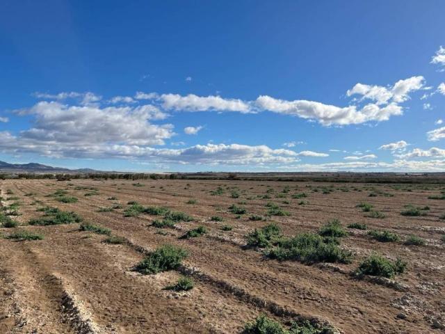Terreno en venta en Bajo Guadalentín, Murcia
