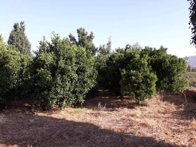 Terreno en venta en Bajo Guadalentín, Murcia