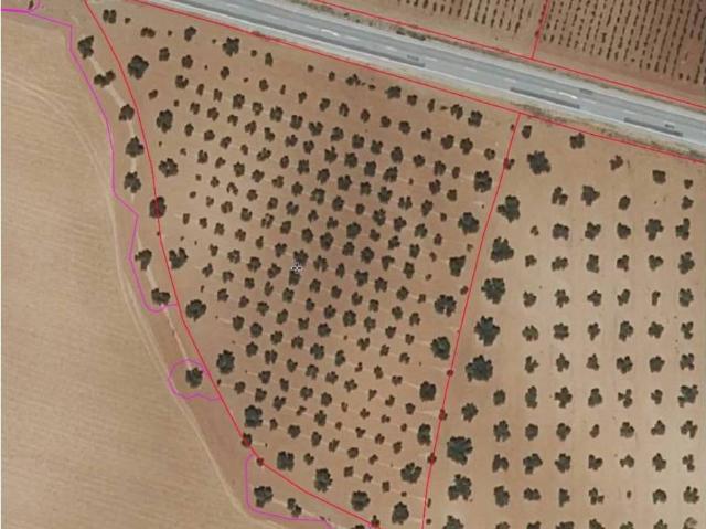 Terreno en venta en Alhambra, Castilla-La Mancha
