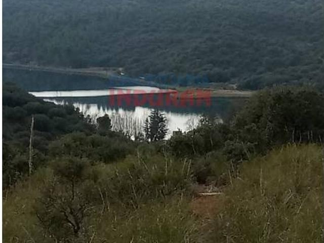 Terreno en venta en Alhambra, Castilla-La Mancha