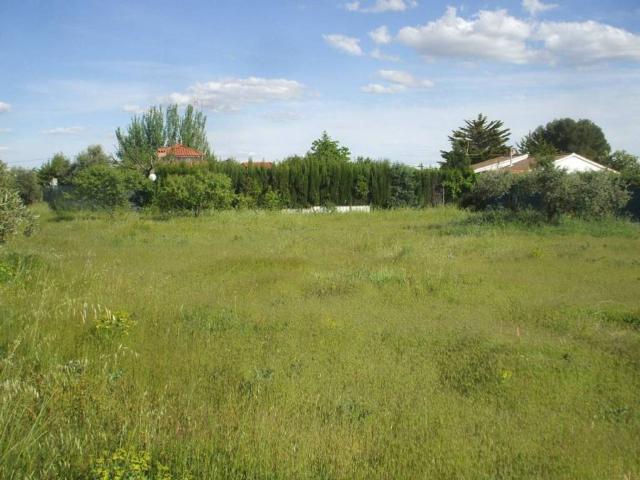 Terreno en venta en Alhambra, Castilla-La Mancha