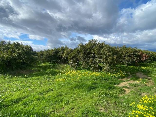 Terreno en venta en Valle del Guadalhorce, Andalucía