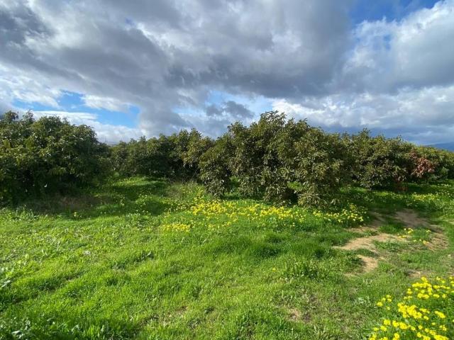 Terreno en venta en Valle del Guadalhorce, Andalucía