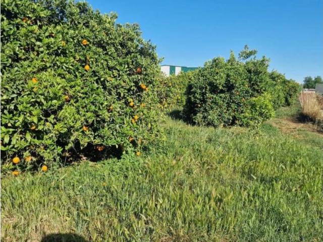 Terreno en venta en Santa Amalia, Valle del Guadalhorce