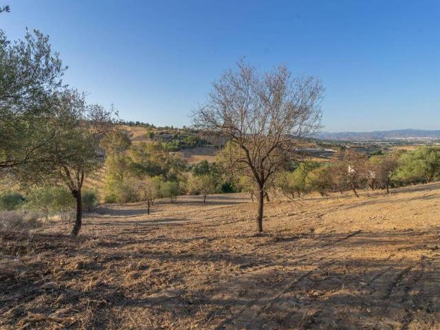 Terreno en venta en Alhaurín De La Torre