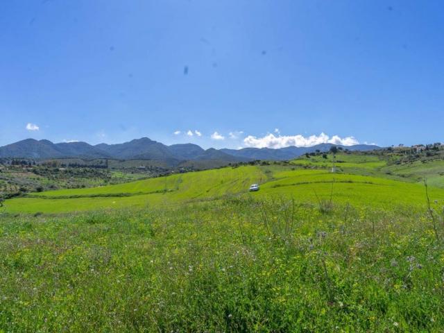 Terreno en venta en Alhaurín De La Torre