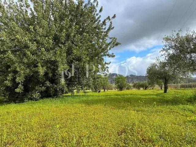Terreno en venta en Valle del Guadalhorce, Andalucía