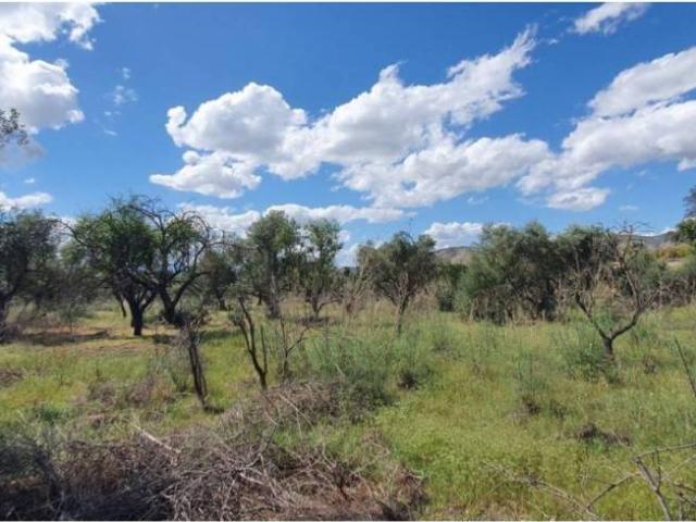 Terreno en venta en Valle del Guadalhorce, Andalucía