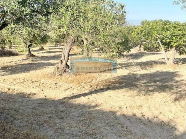 Terreno en venta en Alhaurín El Grande