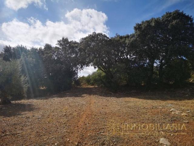 Local Comercial en venta en Valle del Guadalhorce, Andalucía