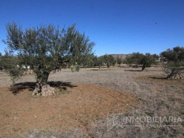 Terreno en venta en Valle del Guadalhorce, Andalucía