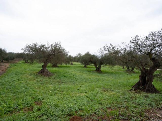 Terreno en venta en Valle del Guadalhorce, Andalucía