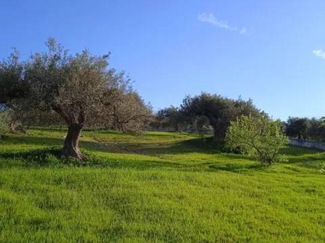 Terreno en venta en Fuente del Perro, Valle del Guadalhorce