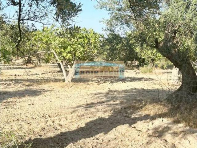 Terreno en venta en Valle del Guadalhorce, Andalucía