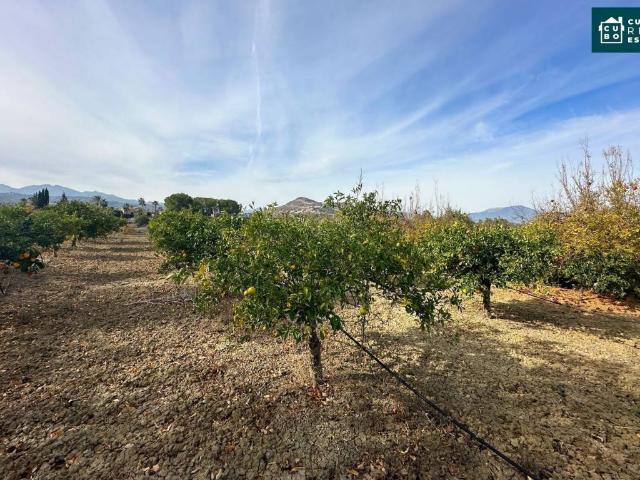 Terreno en venta en Alhaurín El Grande