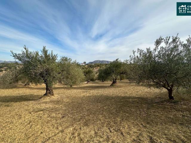 Terreno en venta en Alhaurín El Grande