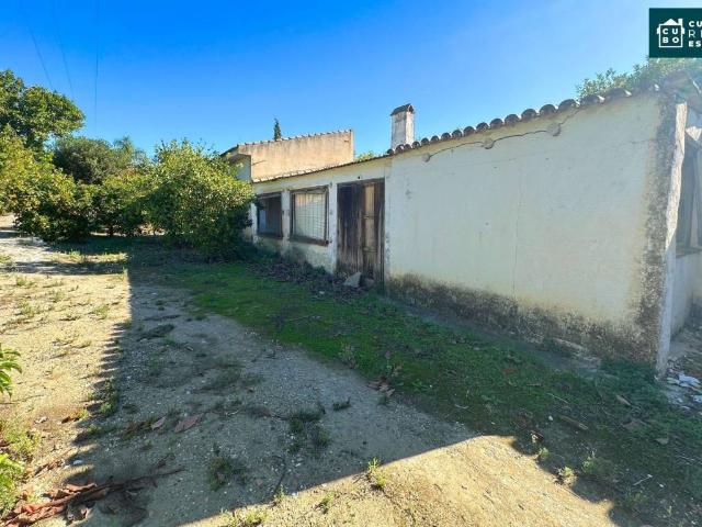 Terreno en venta en Alhaurín El Grande, El Zángano