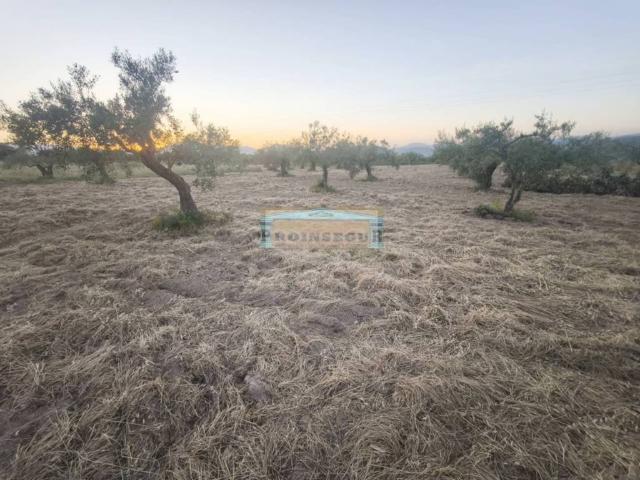 Terreno en venta en Valle del Guadalhorce, Andalucía
