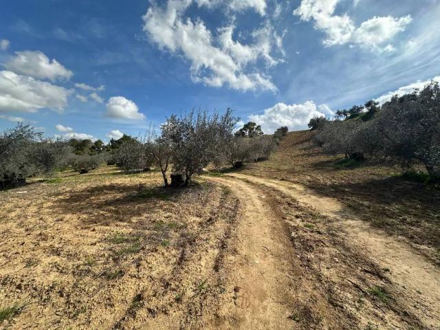Terreno en venta en Alhaurín El Grande, Fuente del Perro
