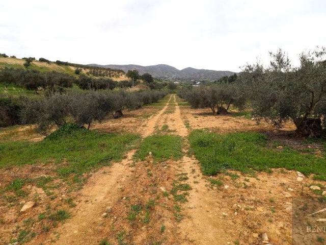 Terreno en venta en Alhaurín El Grande