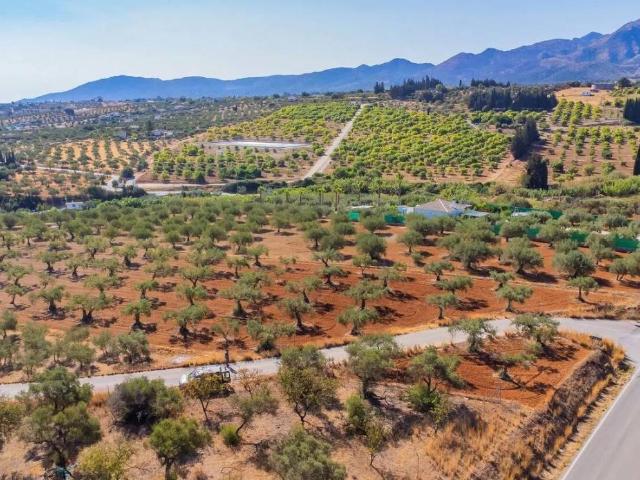 Terreno en venta en Alhaurín El Grande, El Zángano