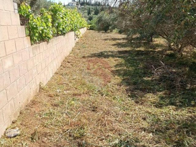 Terreno en venta en Alhaurín El Grande, La Alquería