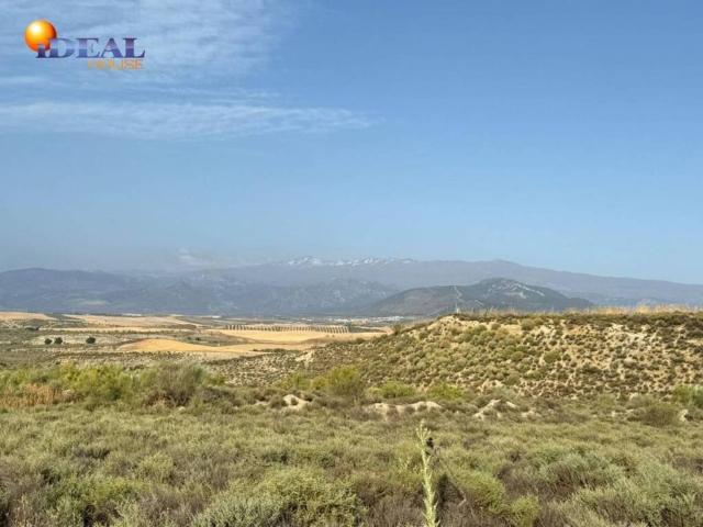 Terreno en venta en Comarca de la Vega de Granada, Andalucía