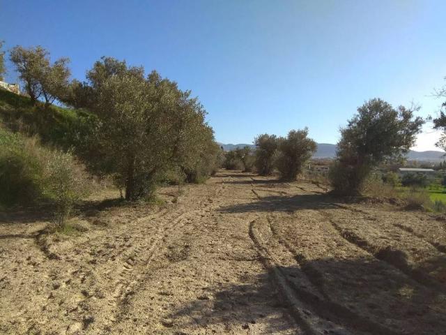 Terreno en venta en Alhendín