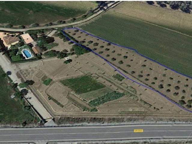 Terreno en venta en Alhendín, Andalucía