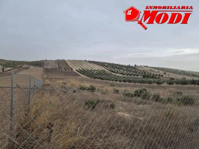 Terreno en venta en Comarca de la Vega de Granada, Andalucía