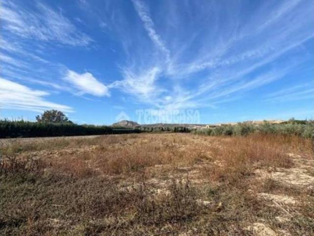 Terreno en venta en Comarca de la Vega de Granada, Andalucía