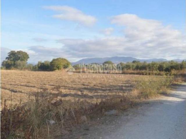 Terreno en venta en Comarca de la Vega de Granada, Andalucía