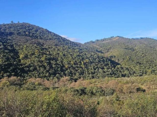 Terreno en venta en Alía, Extremadura