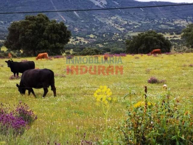 Terreno en venta en Alía