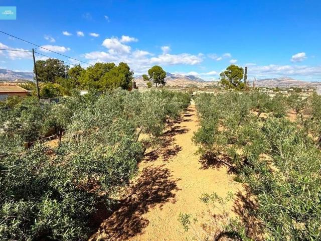 Terreno en venta en l'Alacantí, Valencia