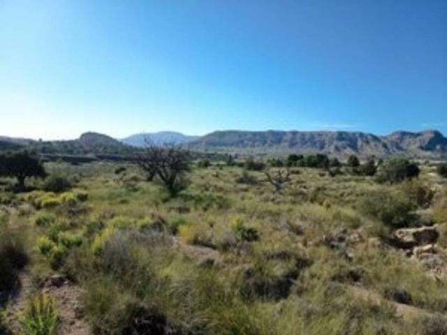 Terreno en venta en l'Alacantí, Valencia
