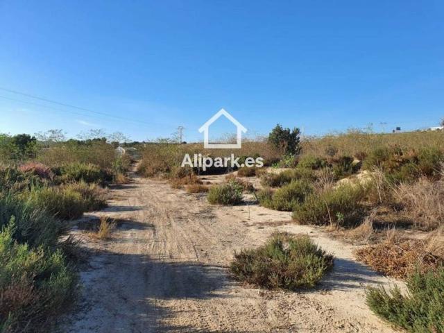 Terreno en venta en l'Alacantí, Valencia