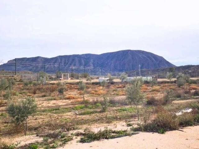 Terreno en venta en l'Alacantí, Valencia