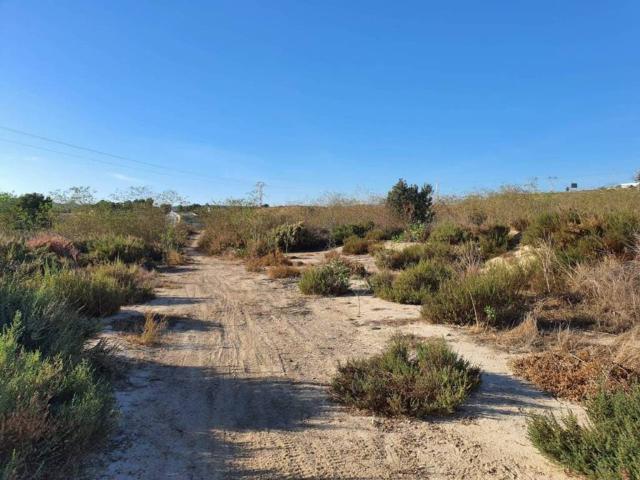 Terreno en venta en l'Alacantí, Valencia
