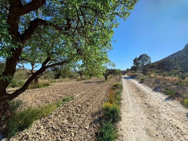 Terreno en venta en l'Alacantí, Valencia