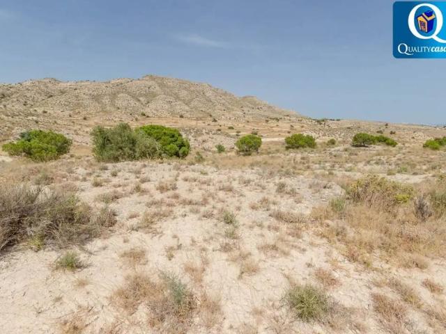Terreno en venta en l'Alacantí, Valencia