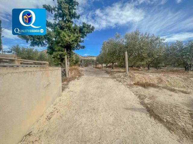 Terreno en venta en l'Alacantí, Valencia