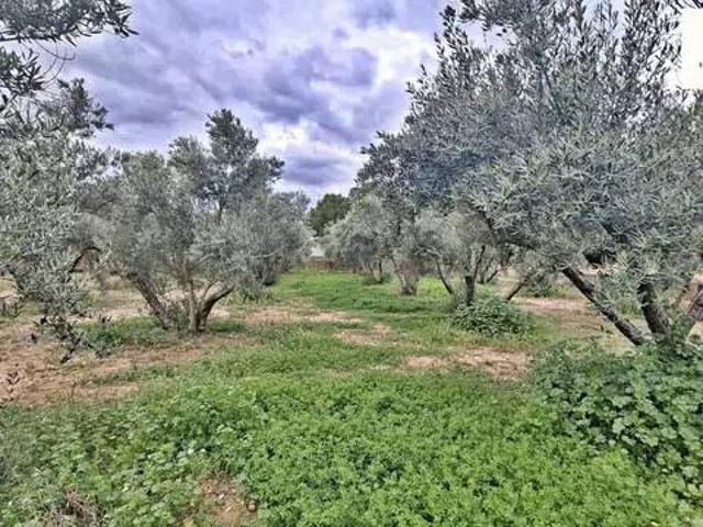 Terreno en venta en Urbanització Rambla del Rollet, l'Alacantí