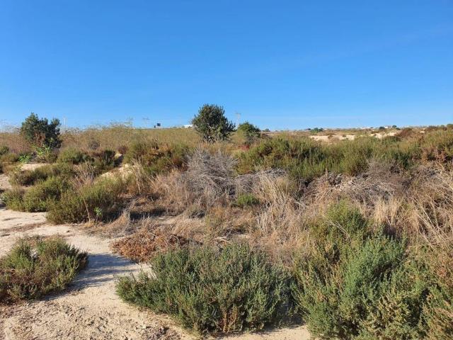 Terreno en venta en l'Alacantí, Valencia