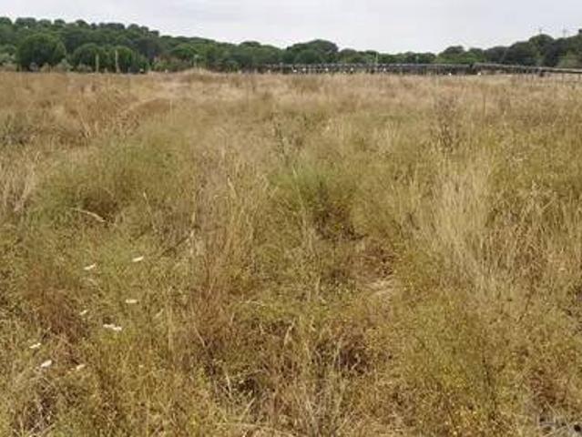Terreno en venta en Bellavista, Comarca Metropolitana de Huelva