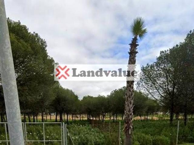 Terreno en venta en Corrales, Comarca Metropolitana de Huelva