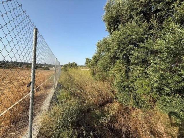 Terreno en venta en Comarca Metropolitana de Huelva, Andalucía