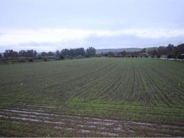 Terreno en venta en Aljucén, Extremadura