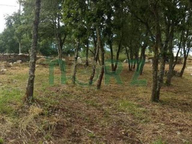 Terreno en venta en Allariz, Ourense